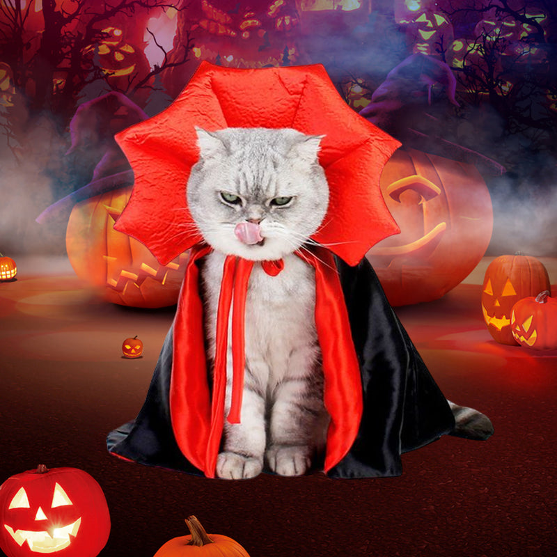 Halloween Dracula Pet Costume