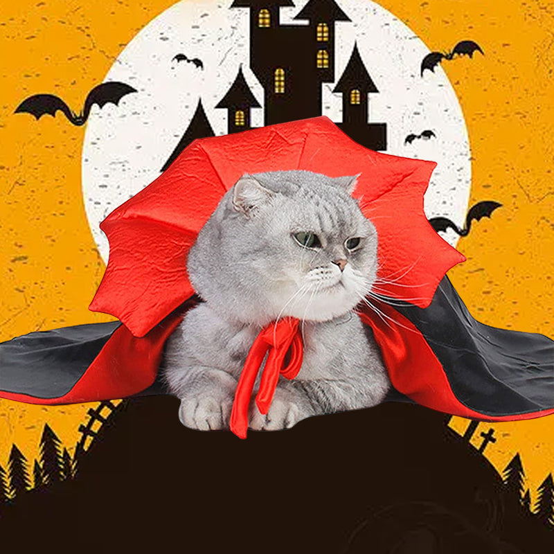 Halloween Dracula Pet Costume