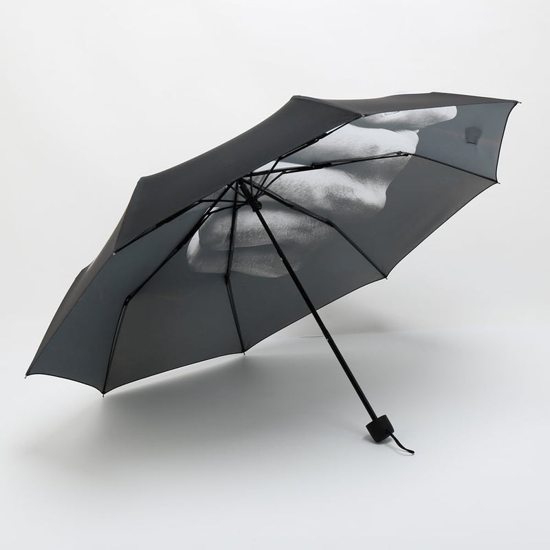 Funny Middle Finger Umbrella