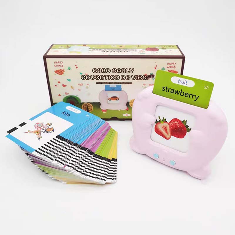 Talking Flash Cards Toy