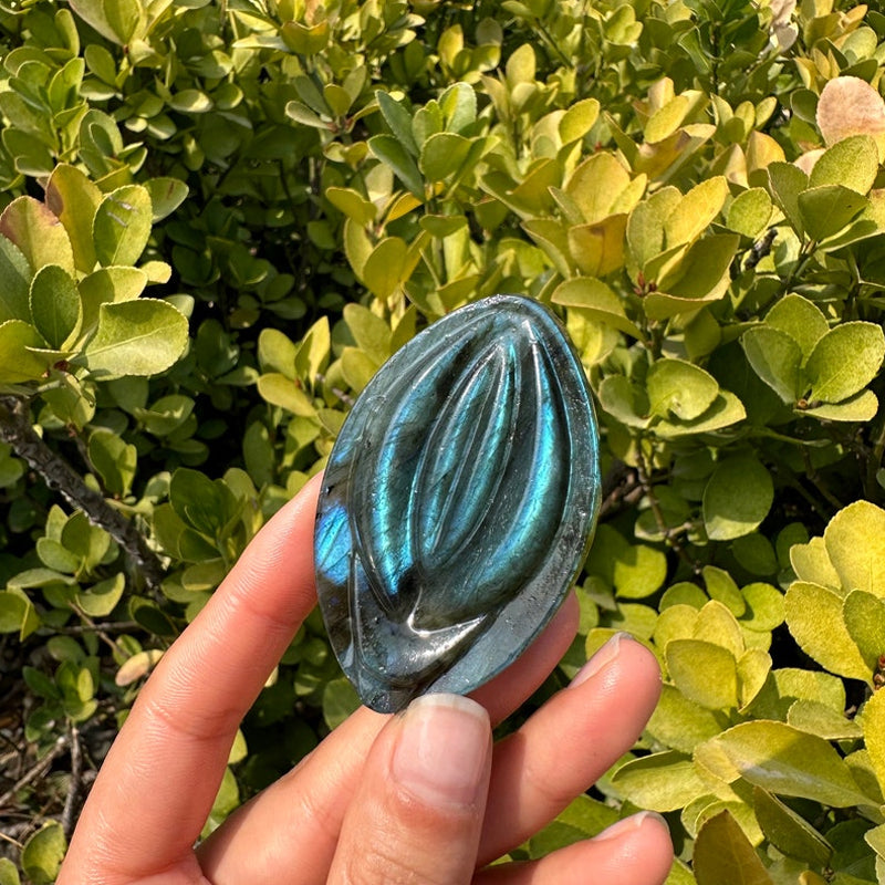 Labradorite I ady Garden Source of I ife