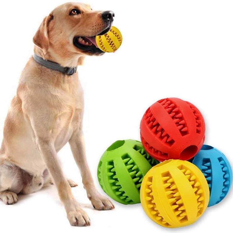 Teething Toys for Dogs