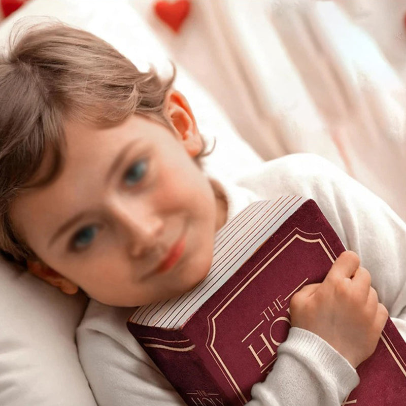 The Bible-Inspired Pillow