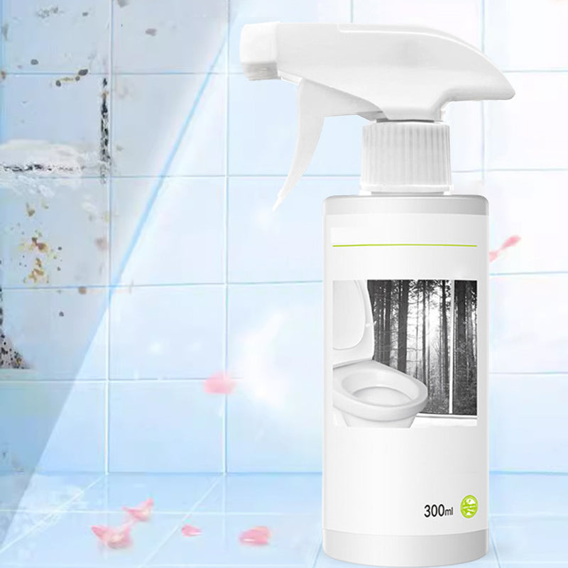 Powerful Oxalic Acid Stains Toilet Glaze Cleaner