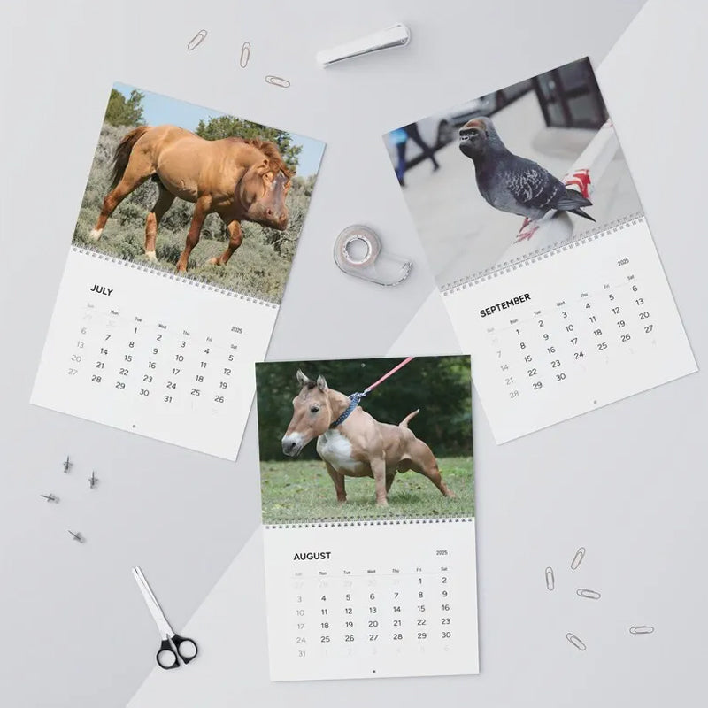 2025 Hybrid Animals Calendar