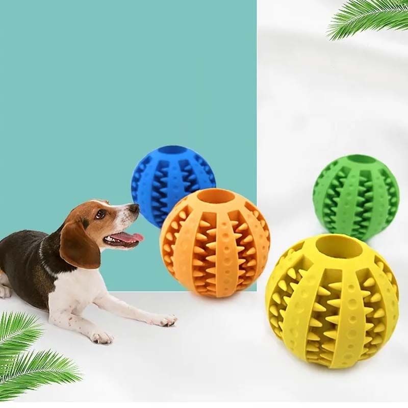 Teething Toys for Dogs