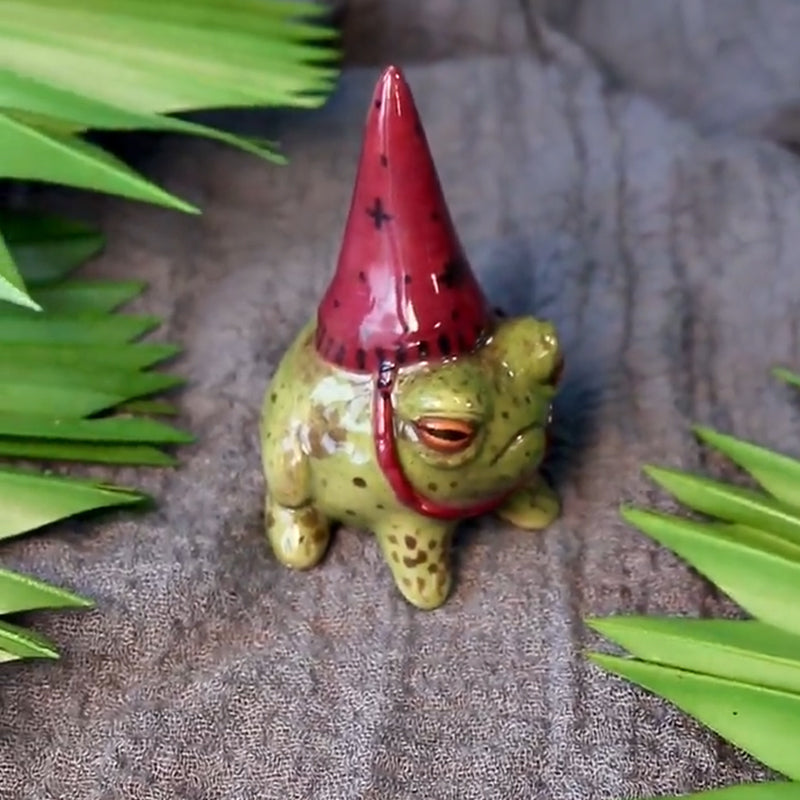 Little Wizards Frog Ornaments