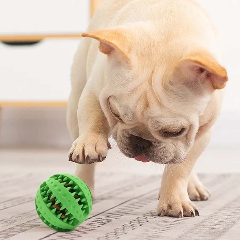 Teething Toys for Dogs