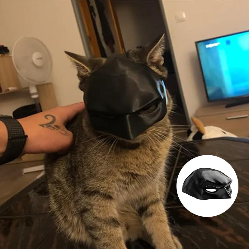 Bat Cat Mask