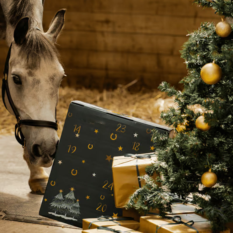 Forelock and Fringe Advent Calendar 2024