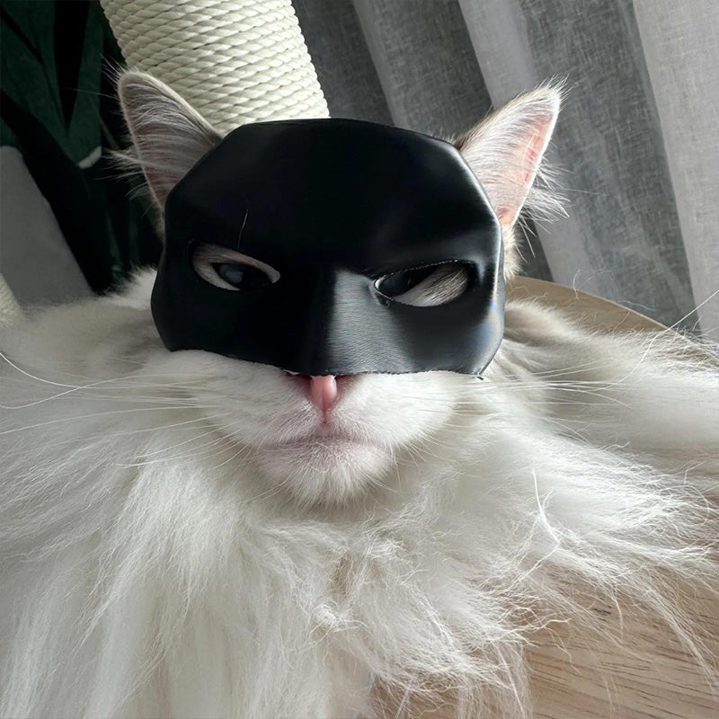 Bat Cat Mask