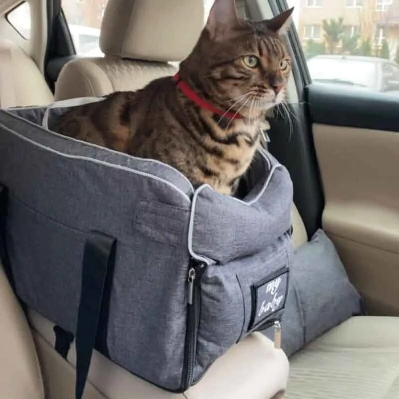 Pet Safety Seat