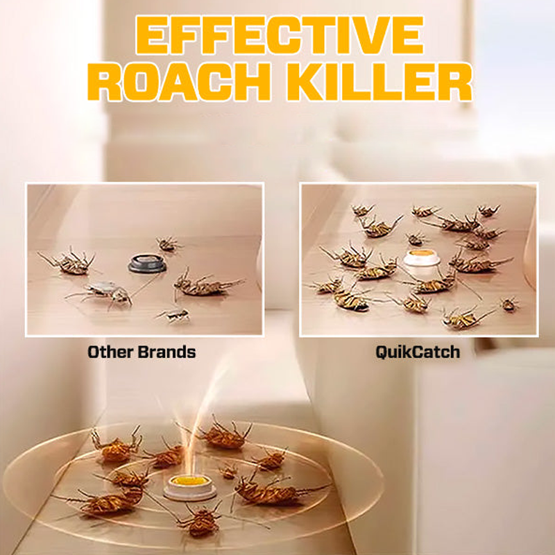 Roach Killing Bait Station（Set of 8）