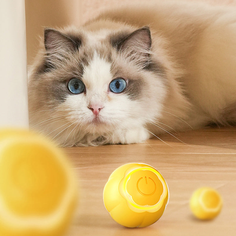 Pet Rubber Ball Toys