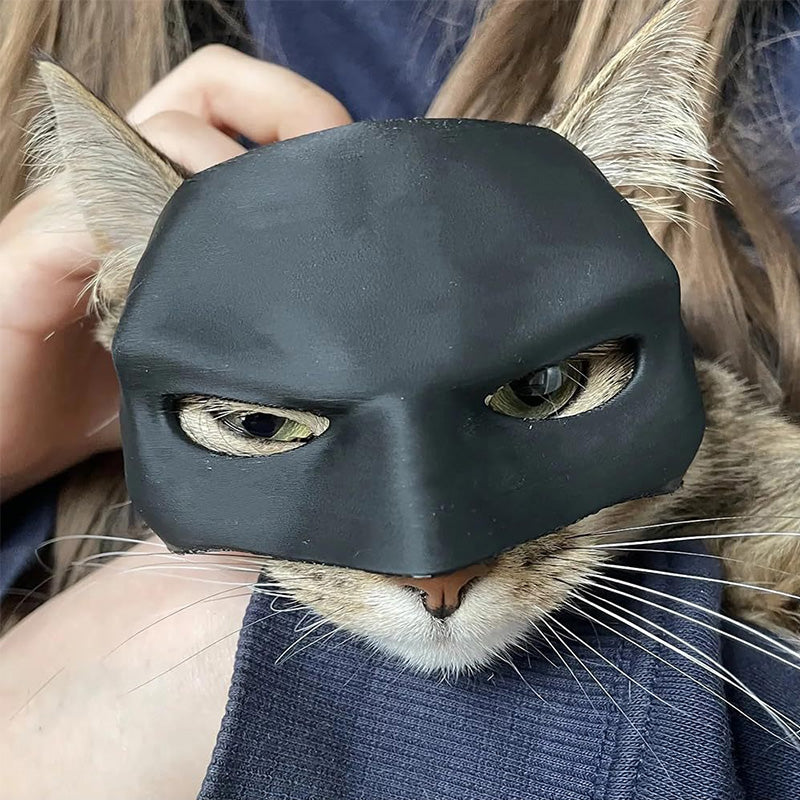 Bat Cat Mask