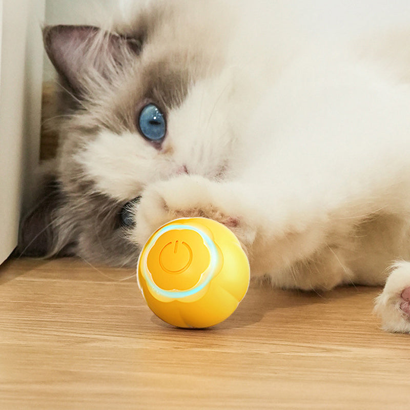 Pet Rubber Ball Toys