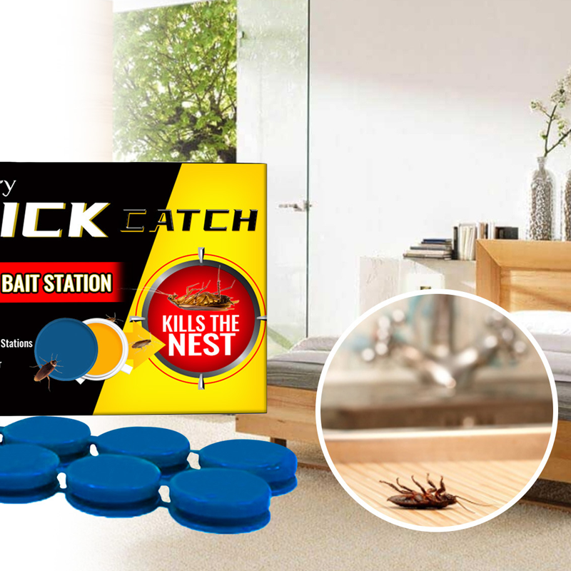 Roach Killing Bait Station（Set of 8）