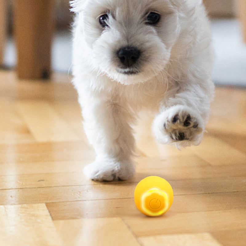 Pet Rubber Ball Toys