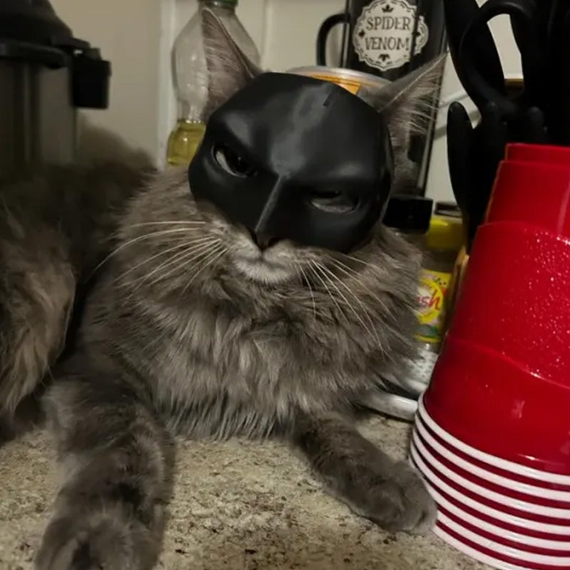 Bat Cat Mask