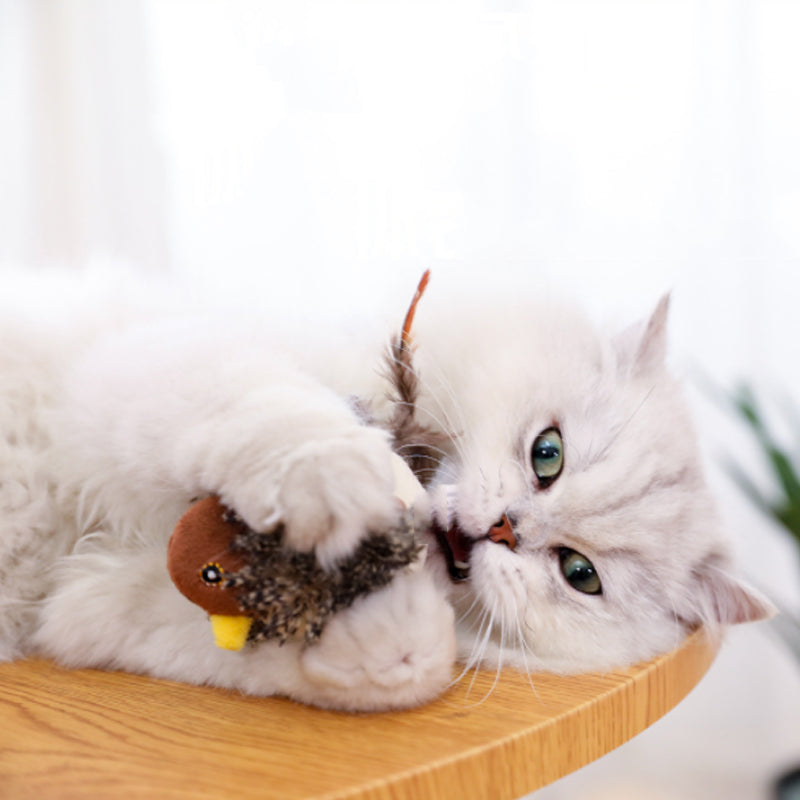 Interactive Chirping Cat Toy