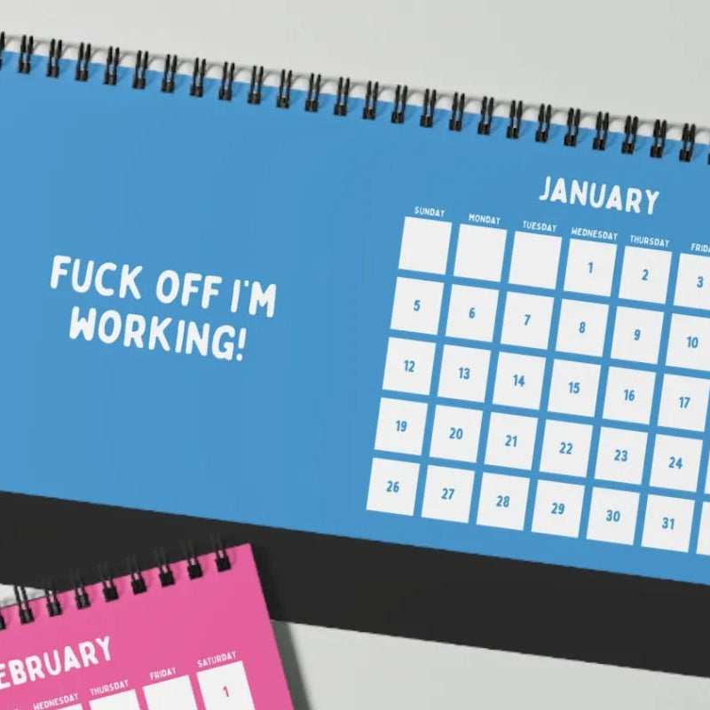 Funny 2025 Sarcastic Calendar