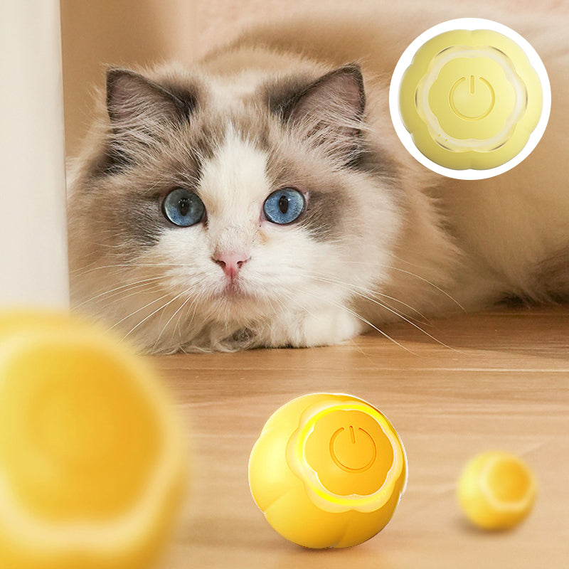 Pet Rubber Ball Toys