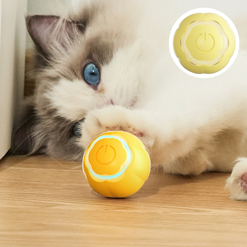 Pet Rubber Ball Toys