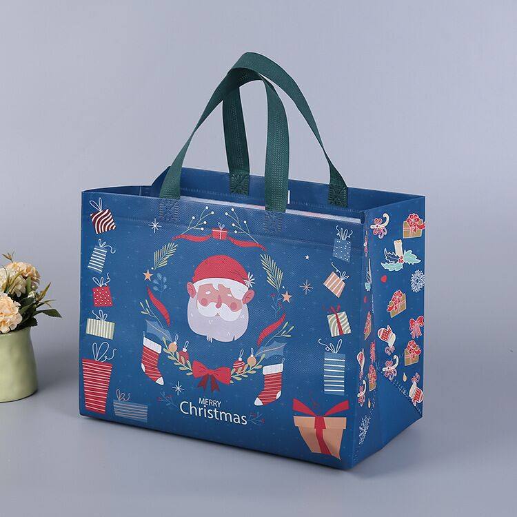 Christmas Gift Bag