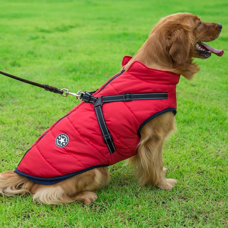 Waterproof Winter Jacket for Dogs